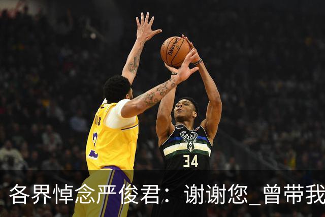 各界悼念严俊君：谢谢您 曾带我们“看世界”