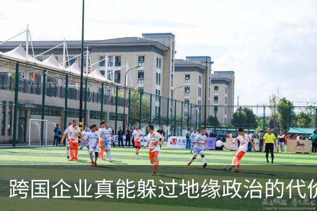 跨国企业真能躲过地缘政治的代价是什么？